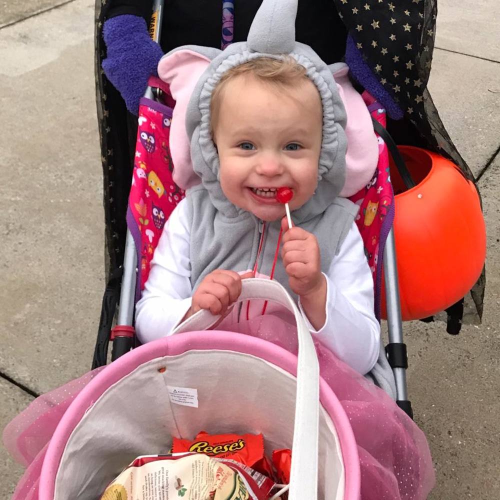 Meet your Posher, Holly